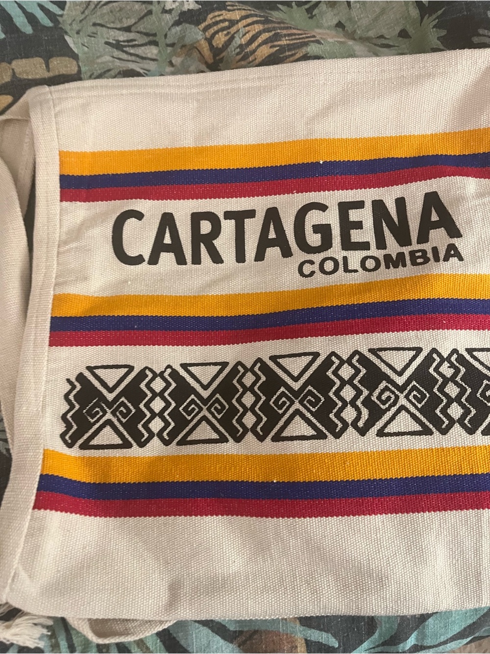Cartagena Colombia Canvas messenger bag with Colorful Stripes NWOT